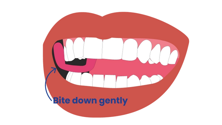 Gently bite down to insert it between your molars.